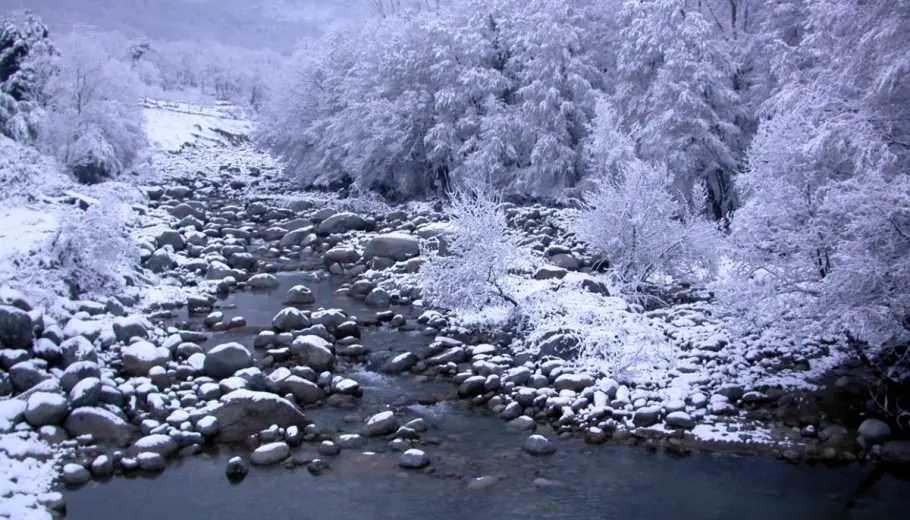 Bucólicos paisajes invernales